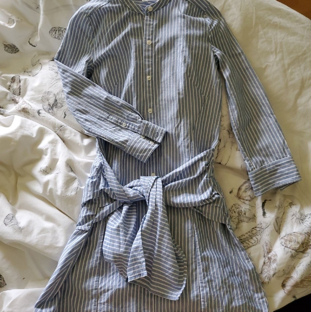 Veronica Beard dress